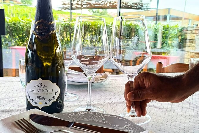 Guided tour of vineyards and winery with tasting 4 wines - The Vineyard-to-Cellar Shift: How Aging Changes the Wine