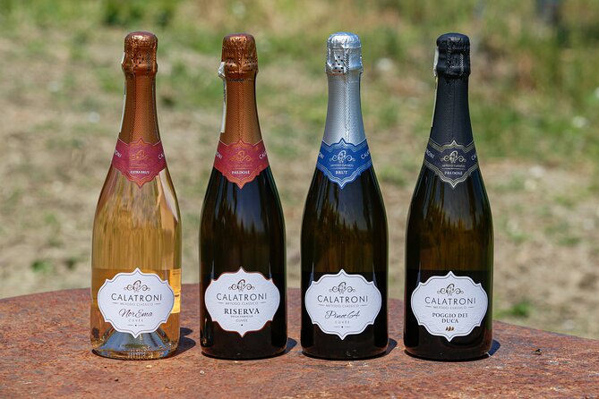 Guided tour of vineyards and winery with tasting 4 wines - Meet Stefano: How the 4-Wine Tasting Really Teaches You