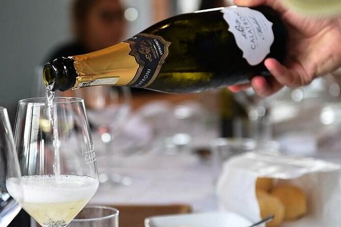 Guided tour of vineyards and winery with tasting 4 wines - Food Pairing Adds Meaning, Not Just Snacks
