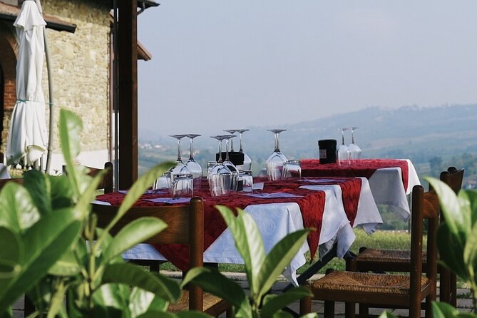 Guided tour of vineyards and winery with tasting 4 wines - English-Friendly, But Expect Different Flow in the Vineyard