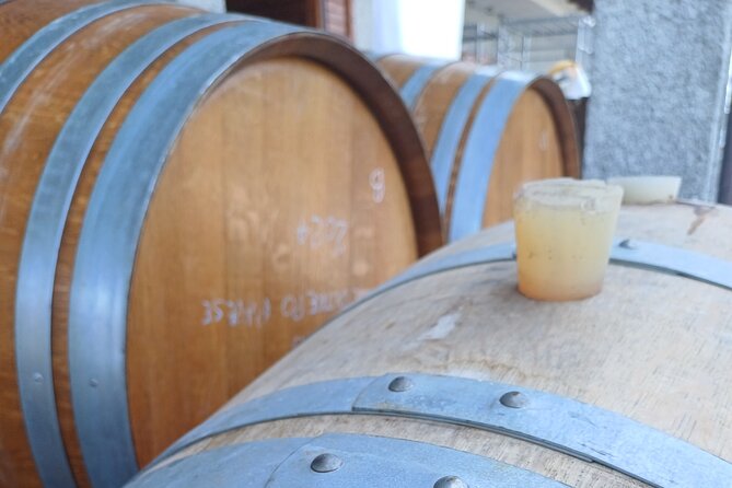 Guided tour of vineyards and winery with tasting 4 wines - Price and Value: What $22.86 Buys You