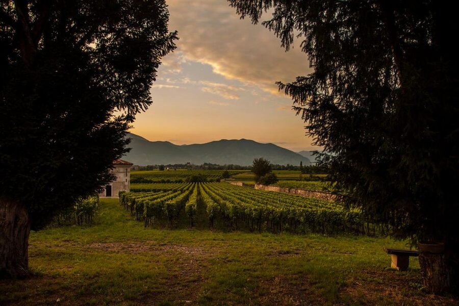Half-Day Food and Wine Experience in Franciacorta - Pairing Wine With Local Food: How the Tour Makes Sense