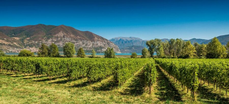 Half-Day Food and Wine Experience in Franciacorta - Who This Franciacorta Food and Wine Half-Day Fits Best