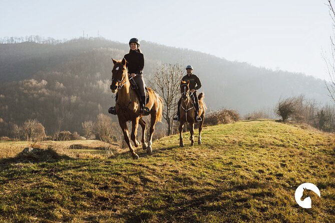 Horseback riding for experts between the lake and the mountains - Key Highlights (Before You Saddle Up)