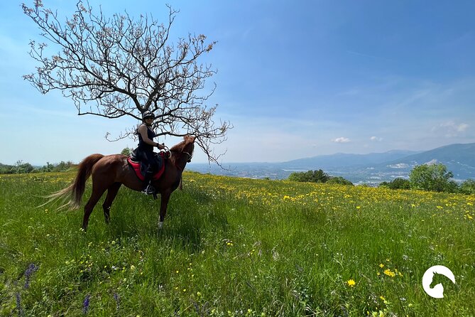 Horseback riding for experts between the lake and the mountains - Horses, Safety Gear, and the Team Behind the Day