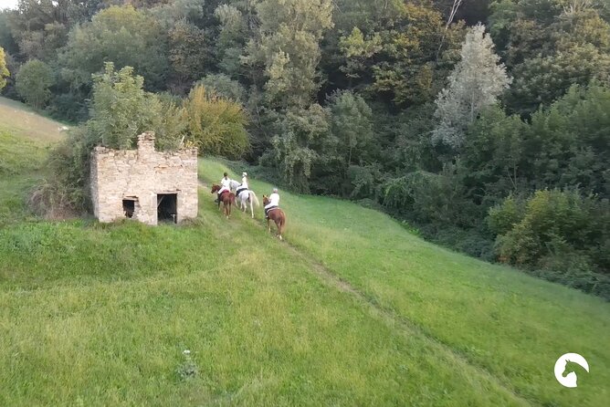 Horseback riding for experts between the lake and the mountains - Price and Value: What You Pay For, and What It Includes