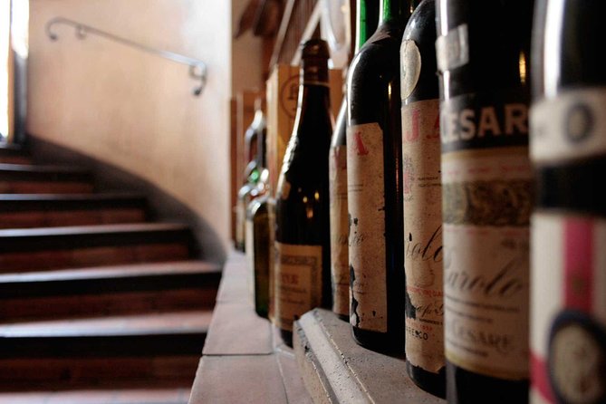 Italian Wine Tasting in Milan - How to Taste Like You Actually Know What You’re Doing