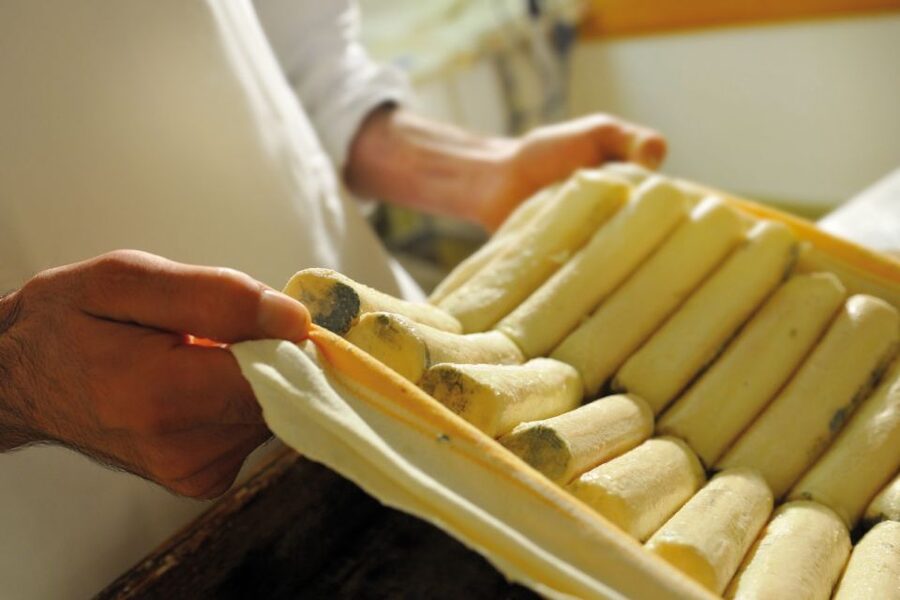 Lake Como: Cheese Factory Tour and Tasting in Valsassina - Key highlights to know before you go