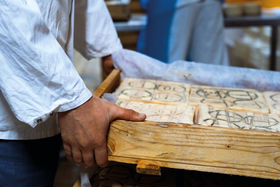 Lake Como: Cheese Factory Tour and Tasting in Valsassina - Who should book, and who should skip it