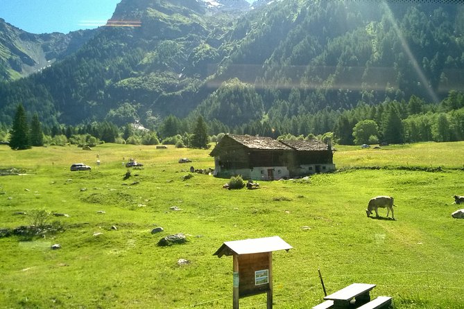Lake Como, Swiss Alps and Bernina Train From Milan - St Moritz or Tirano: how to use the stop without rushing
