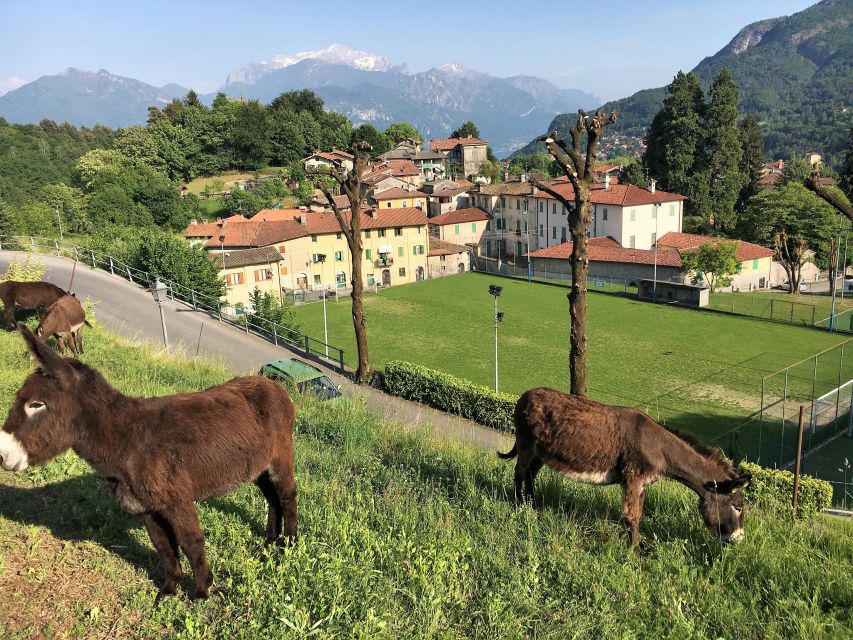 Lake Como to Lake Lugano: E-Bike Three Panoramic Lakes - Key Points to Know Before You Pedal