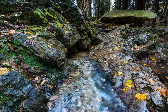 Lake Como trekking private guided tour, from Milan - Timing That Actually Works for a Trekking Day