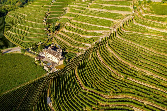 Lake Como & UNESCO Dry-stone Walls Vineyards - Key highlights you will feel the moment you arrive
