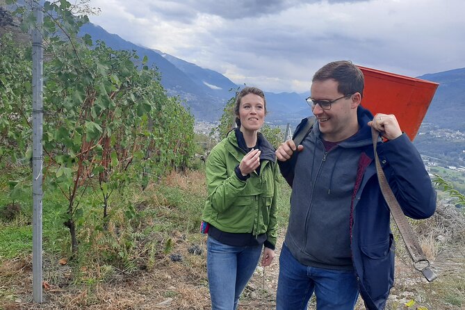 Lake Como & UNESCO Dry-stone Walls Vineyards - Morbegno lunch in the Valtellina orbit: plan for extra cost