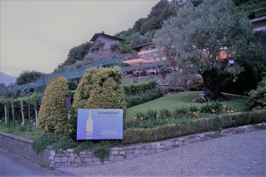 Lake Como: Winery Tour with Wine Tasting - The tasting terrace: 3 wines plus smart local pairings