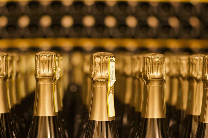 Lake Iseo & Franciacorta Winery. Scenic & Wine Tasting tour - Brescia free time: history, squares, and breathing room