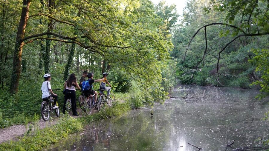 Milan: Bike Tour with Picnic on the turtle lake - Key Things I’d Prioritize