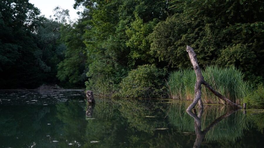 Milan: Bike Tour with Picnic on the turtle lake - Guide Davide, Small Group Size, and How Well You Learn