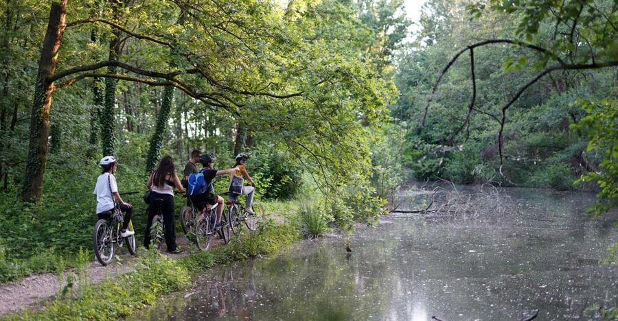 Milan: Bike Tour with Picnic on the turtle lake - Meeting Point Near San Siro, and How to Get There