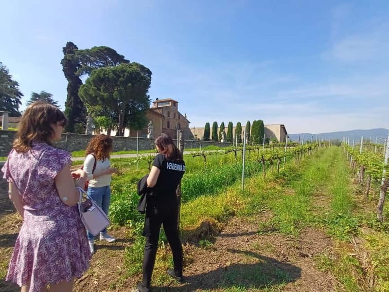 Milan: Brescia & Franciacorta with Wine Tasting Small Group - The coach ride into Franciacorta: where the afternoon starts to feel special