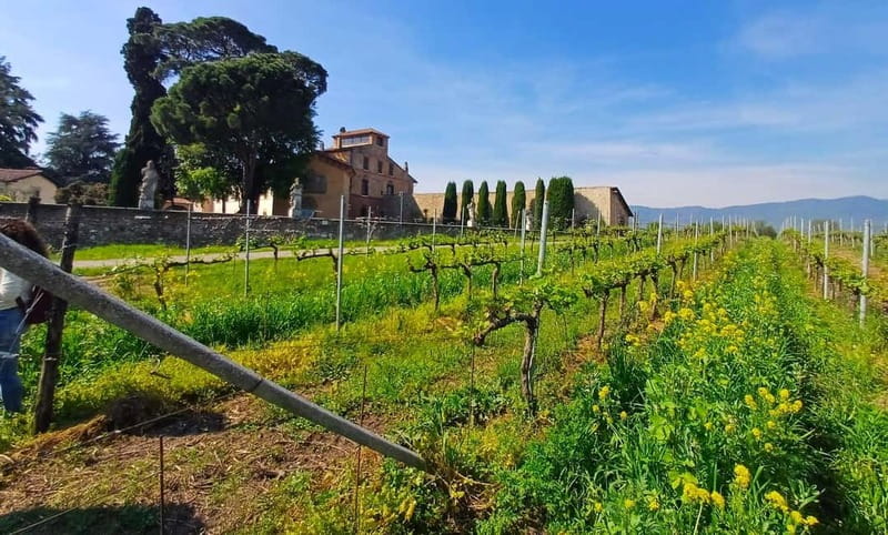 Milan: Brescia & Franciacorta with Wine Tasting Small Group - The 10-hour day plan, and where you can breathe