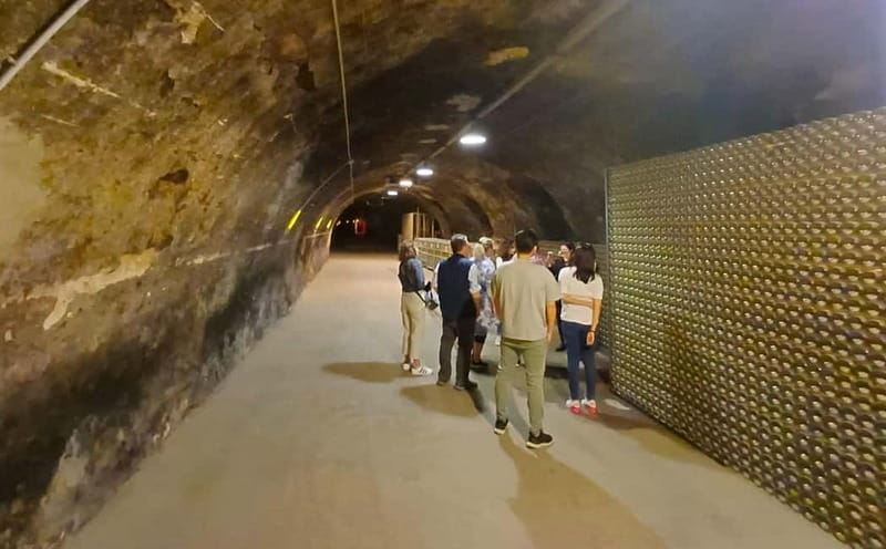Milan: Brescia & Franciacorta with Wine Tasting Small Group - Price and value: is $214.11 per person a good deal?