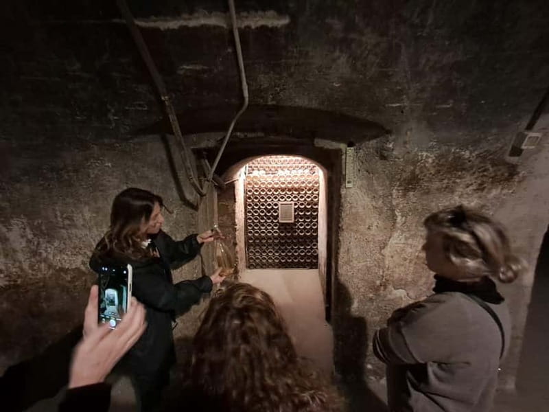 Milan: Brescia & Franciacorta with Wine Tasting Small Group - Should you book this tour?
