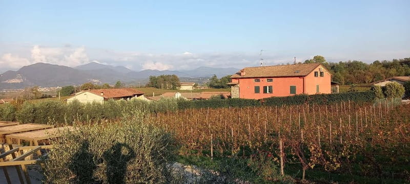 Milan: Brescia & Franciacorta with Wine Tasting Small Group - FAQ