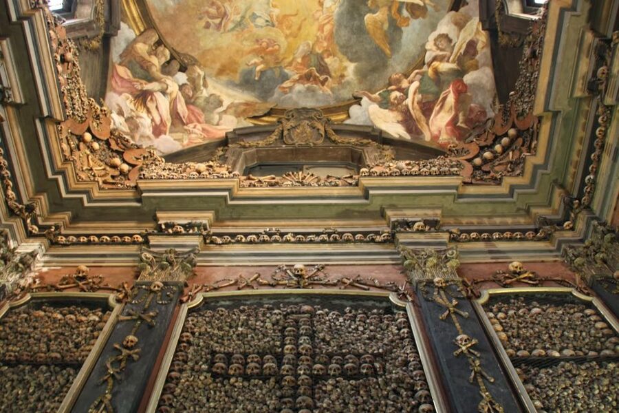 Milan Food and Secrets Tour - Food Pairings You’ll Actually Taste: Fish, Cured Meats, Cheese, and Limoncello