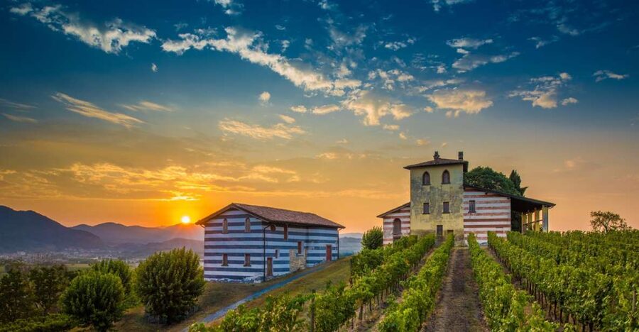 Milan: Franciacorta Winery and Bergamo Day Trip with Lunch - Should you book the Milan to Franciacorta and Bergamo day trip?