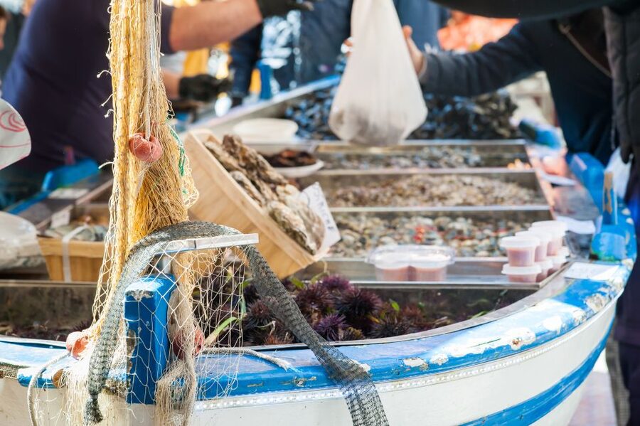 Milan: Market and Meal at a Local's Home - Price and Value: Is $157.47 Worth It?