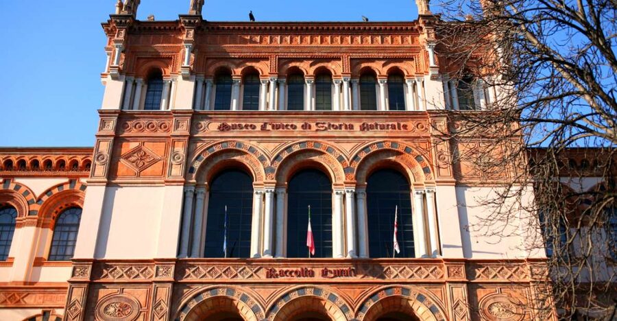 Milan: Natural History Museum Entry Ticket & Audio Guide - Following the audio stops: fossils, minerals, animals, and plants