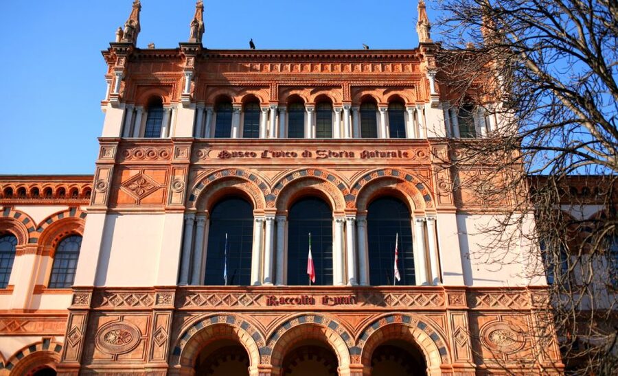 Milan: Natural History Museum Entry Ticket & Audio Guide - Price and value for a $12 museum plus phone audioguide
