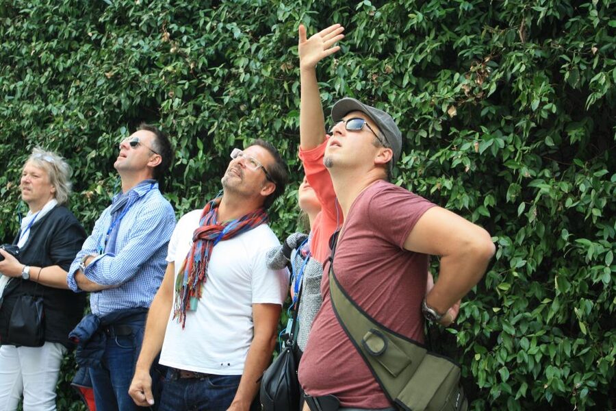 Milan: Piazza Gae Aulenti and Pelli Tower Walking Tour - Price and value: is $120.08 per person worth it?