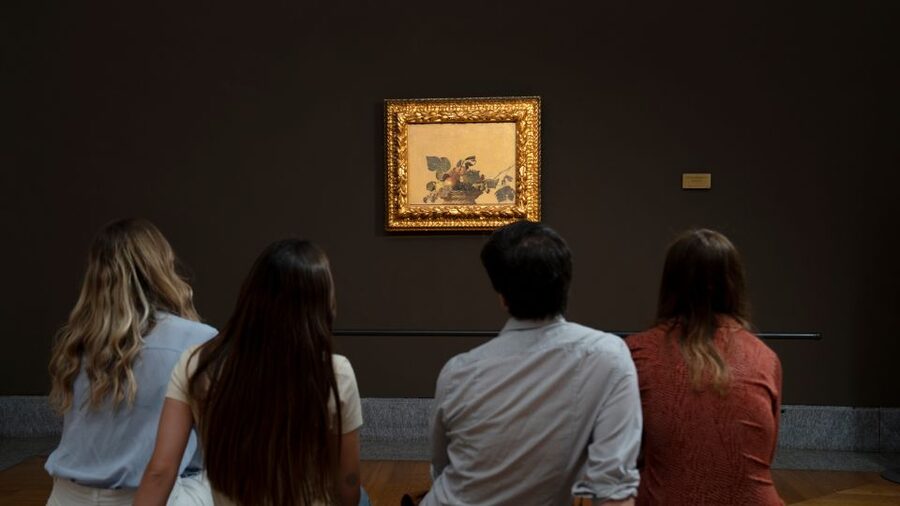 Milan: Pinacoteca Ambrosiana and San Sepolcro Crypt Ticket - The library reading room and Codex Atlanticus: art plus thinking