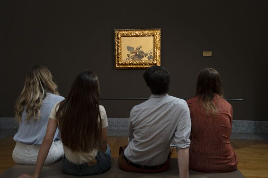Milan: Pinacoteca Ambrosiana & da Vinci Codex Exhibition - Getting there and managing the small practical hassles