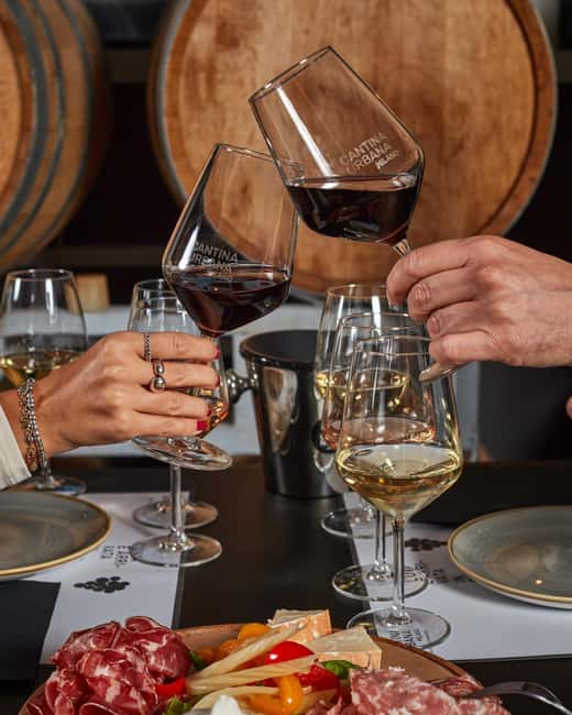 Milan: Wine Lovers Experience at Cantina Urbana Winery - The compact winery tour: barrels, amphorae, and tanks up close