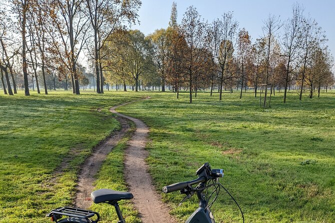 Milano e l'acqua. Tour dei parchi milanesi - Small-group guiding: what I’d watch for in your experience