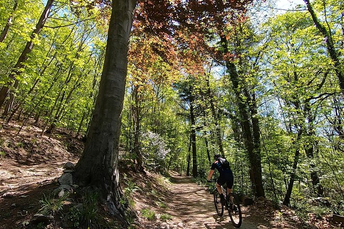 Mountain Bike tour in Spina Verde natural park - Key highlights you should care about