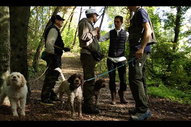 Mushroom or Truffle Hunting - Truffle dogs and forest finds, right by Bellagio