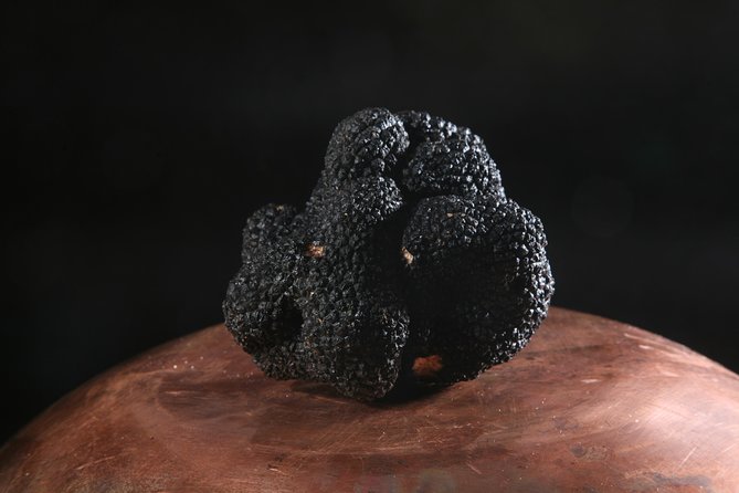 Mushroom or Truffle Hunting - Timing, flexibility, and what to wear