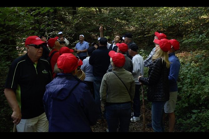 Mushroom or Truffle Hunting - Starting at Ristorante Salice Blu: where your hunt begins