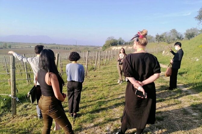 Picnic and Lugana Tour at Perla del Garda winery - From Via Fenil Vecchio to the vines: how the 2-hour flow feels