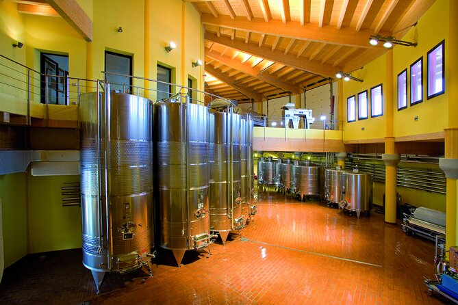 Picnic and Lugana Tour at Perla del Garda winery - The picnic basket in the vineyard: bread, cured meats, Lombard cheeses, and a blanket