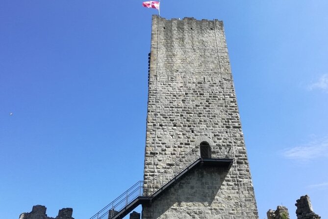 Private 2-Hour Tour of the Medieval Castle over Lake Como - Practical tips: what will make your 2 hours smoother