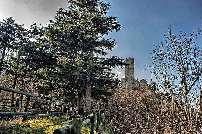 Private 2-Hour Tour of the Medieval Castle over Lake Como - Stop 1: Parco Spina Verde walk to the hilltop castle
