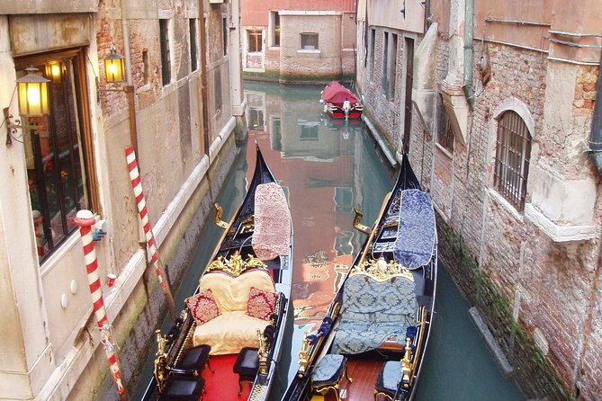 Private Full Day Tour from Milan to Venice with local tour guide and fast train - Ponte della Costituzione: a bonus bridge stop with an interesting history