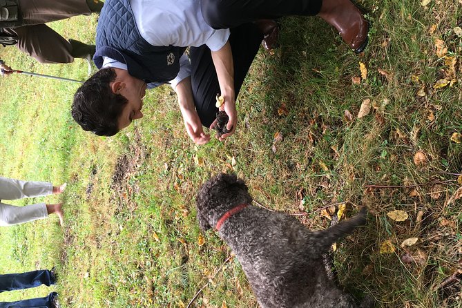 Private Hunting Of Truffle And Mushrooms With Chef Luigi Gandola In Bellagio - What you’ll learn (and why it’s more than food trivia)