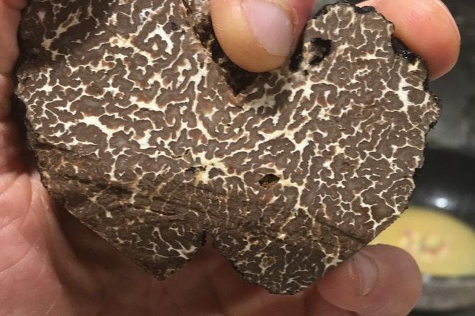 Private Hunting Of Truffle And Mushrooms With Chef Luigi Gandola In Bellagio - Who should book this Chef Luigi truffle hunt in Bellagio