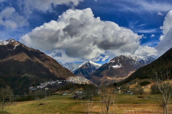 Private Hunting Of Truffle And Mushrooms With Chef Luigi Gandola In Bellagio - The forest hunt: views first, then digging for truffles and mushrooms
